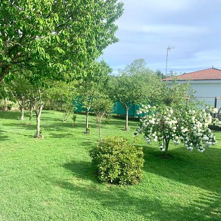 A Casa Vermella Con Jardin A 10 Minutos De Santiago De Compostela Apartman Ortono Kültér fotó