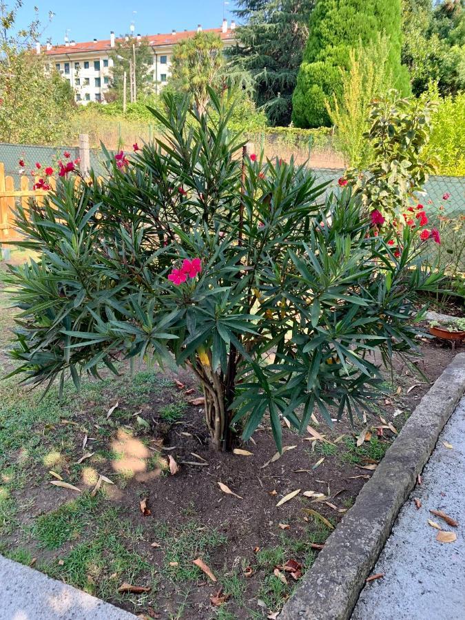 A Casa Vermella Con Jardin A 10 Minutos De Santiago De Compostela Apartman Ortono Kültér fotó