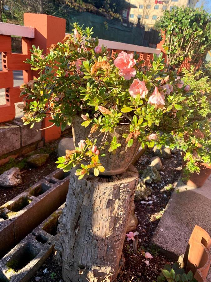 A Casa Vermella Con Jardin A 10 Minutos De Santiago De Compostela Apartman Ortono Kültér fotó